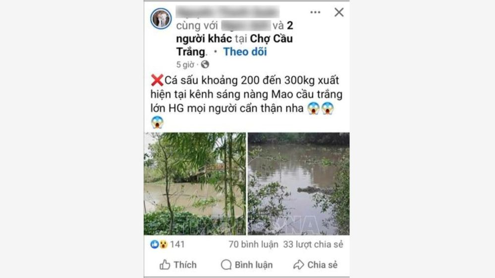 Triệu tập thanh niên đưa tin bịa đặt về cá sấu 