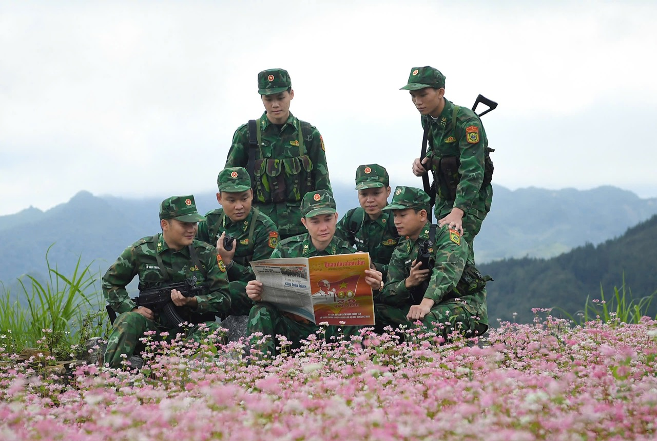 Để mùa hoa tam giác mạch luôn rực rỡ