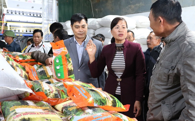 Hà Nội lập 3 đoàn liên ngành kiểm tra an toàn thực phẩm dịp Tết 2026
