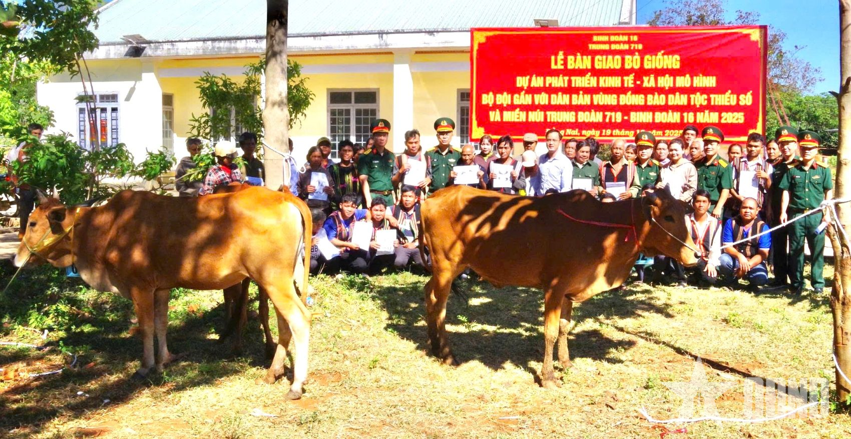 Trung đoàn 719 (Binh đoàn 16) trao bò giống hỗ trợ 41 hộ nghèo, cận nghèo