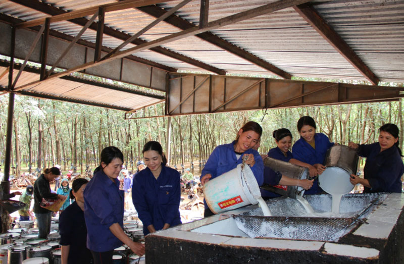 Ống kính bạn đọc: Công nhân Binh đoàn 15 khai thác 