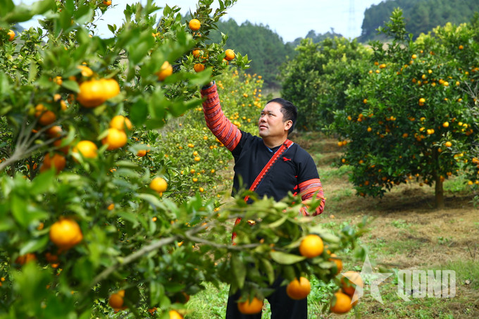 Khoa học - công nghệ mở đường cho nông nghiệp miền núi phía Bắc bứt phá