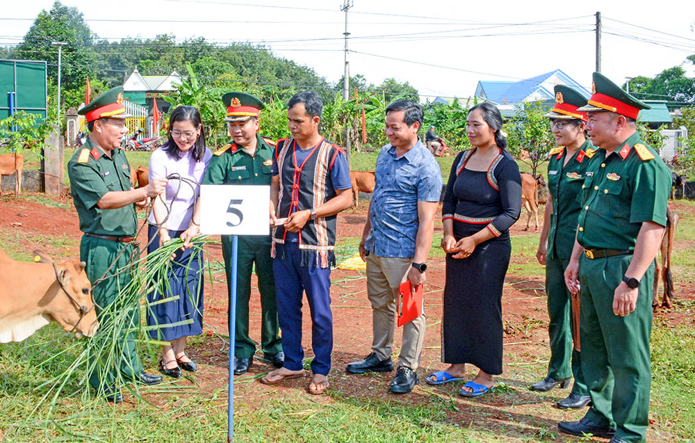 Đoàn Kinh tế - Quốc phòng 72 (Binh đoàn 15): Xây dựng “lá chắn lòng dân” trên biên giới Gia Lai