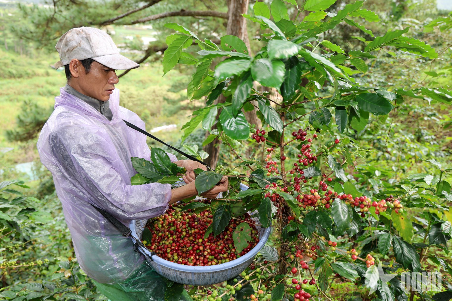  Khi cà phê Việt trở thành sứ giả văn hóa