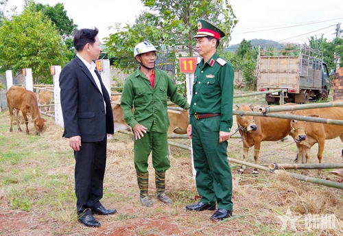 Sư đoàn 320 (Quân đoàn 34): Bàn giao bò giống, hỗ trợ người dân thoát nghèo