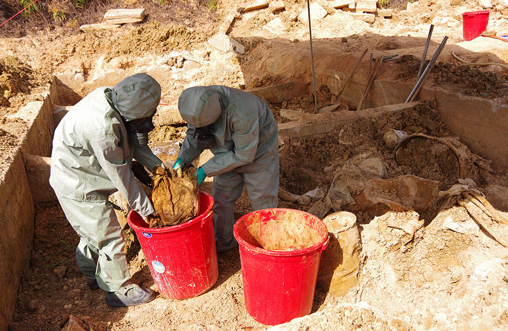 Khẳng định thành công trong lĩnh vực khoa học, công nghệ và môi trường