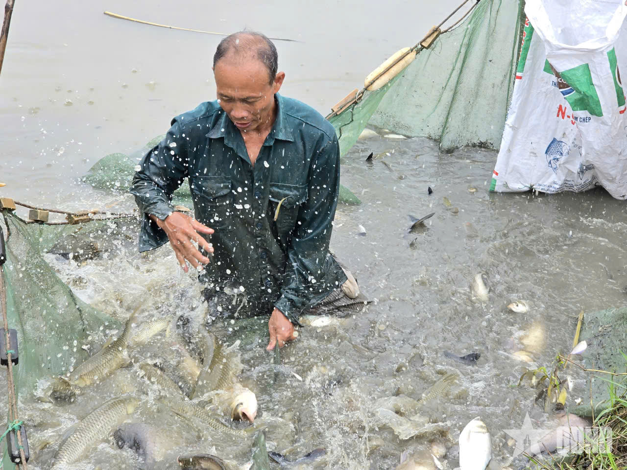 Cựu chiến binh Phạm Bá Tấn vững vàng trên mặt trận sinh kế