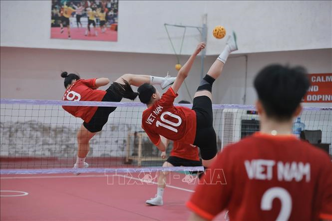 Cầu mây Việt Nam hướng đến các ngôi vị cao nhất