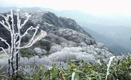 Từ ngày 1 đến 9-1, vùng núi cao Bắc Bộ đề phòng khả năng xảy ra băng giá