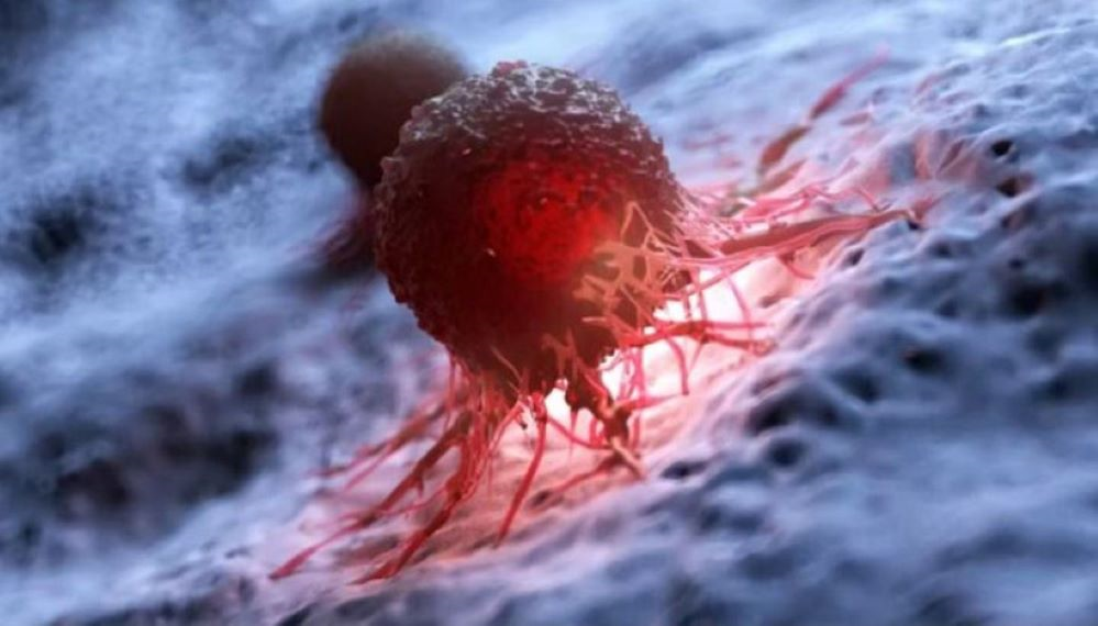 Phát hiện manh mối mới giúp ngăn ung thư tái phát