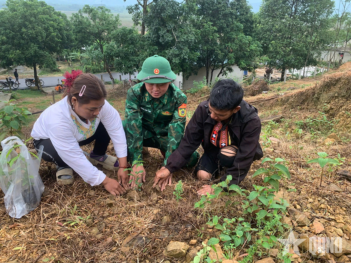 Chung sức cùng Rào Tre vượt khó