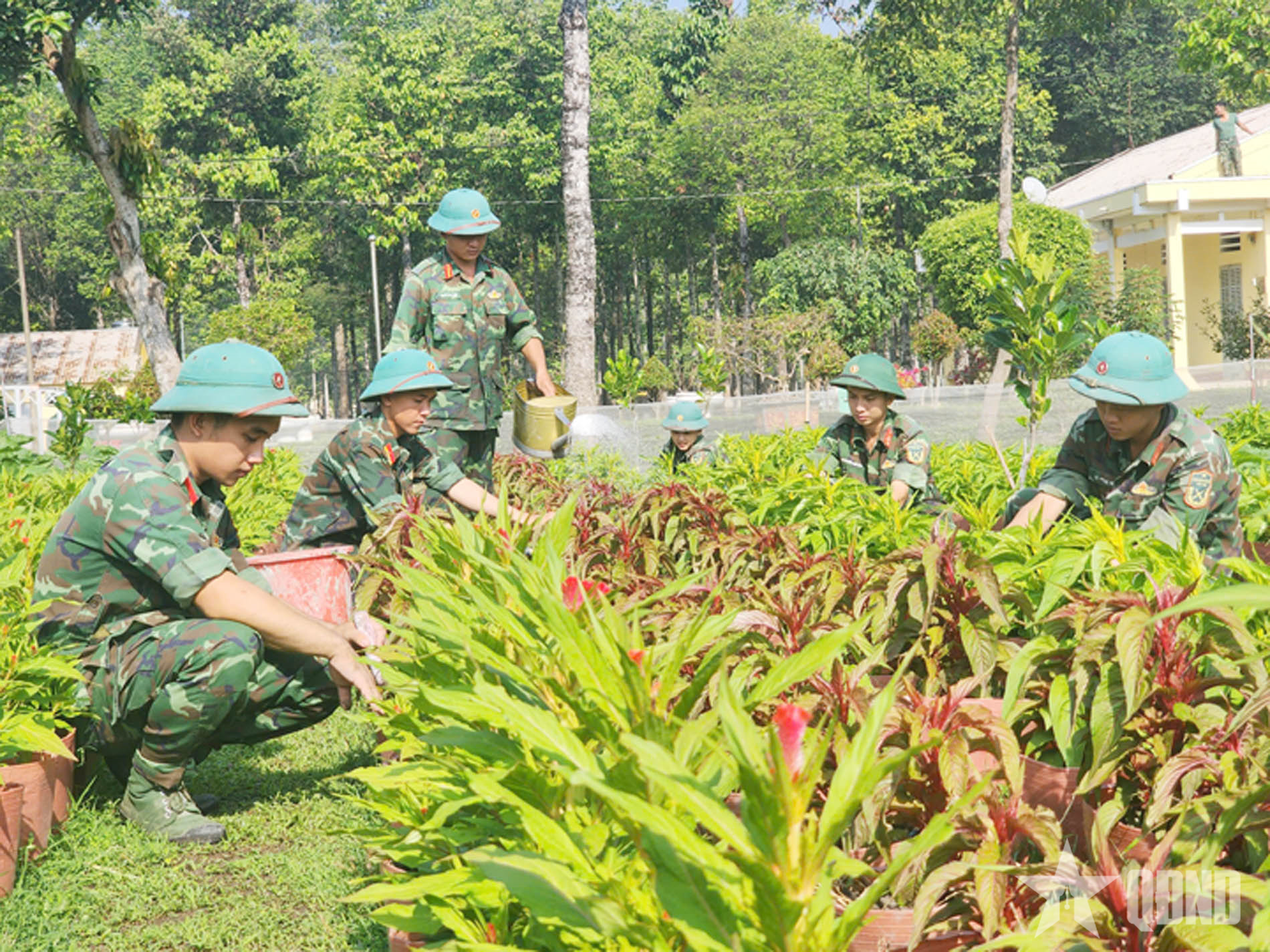 Sắc xuân trong doanh trại Sư đoàn 9