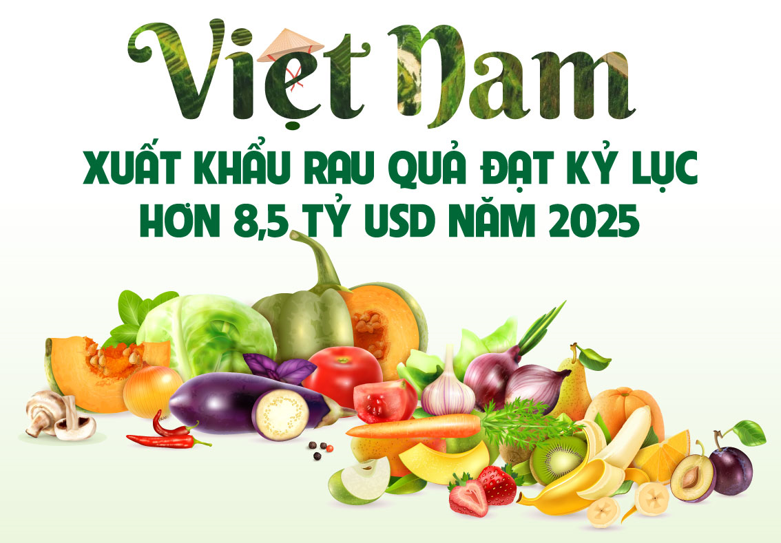 Xuất khẩu rau quả đạt kỷ lục 8,5 tỷ USD trong năm 2025