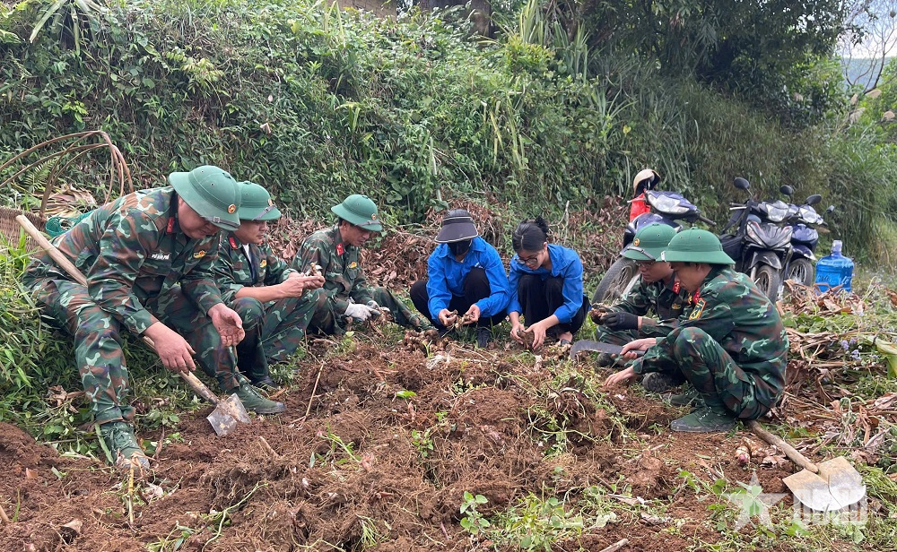 Lâm trường 156 “3 bám, 4 cùng” với đồng bào

