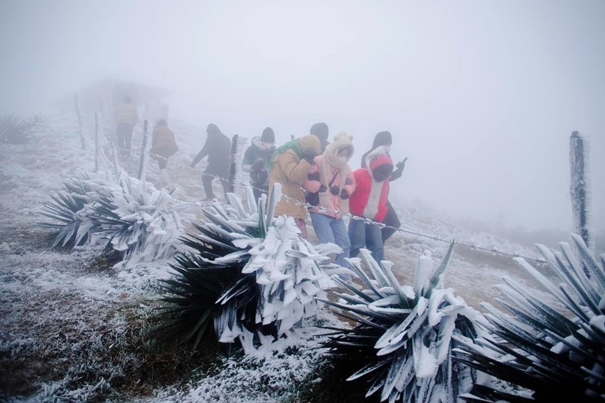 Miền Bắc rét đậm, rét hại, thấp nhất 3 độ C, có thể xuất hiện băng giá