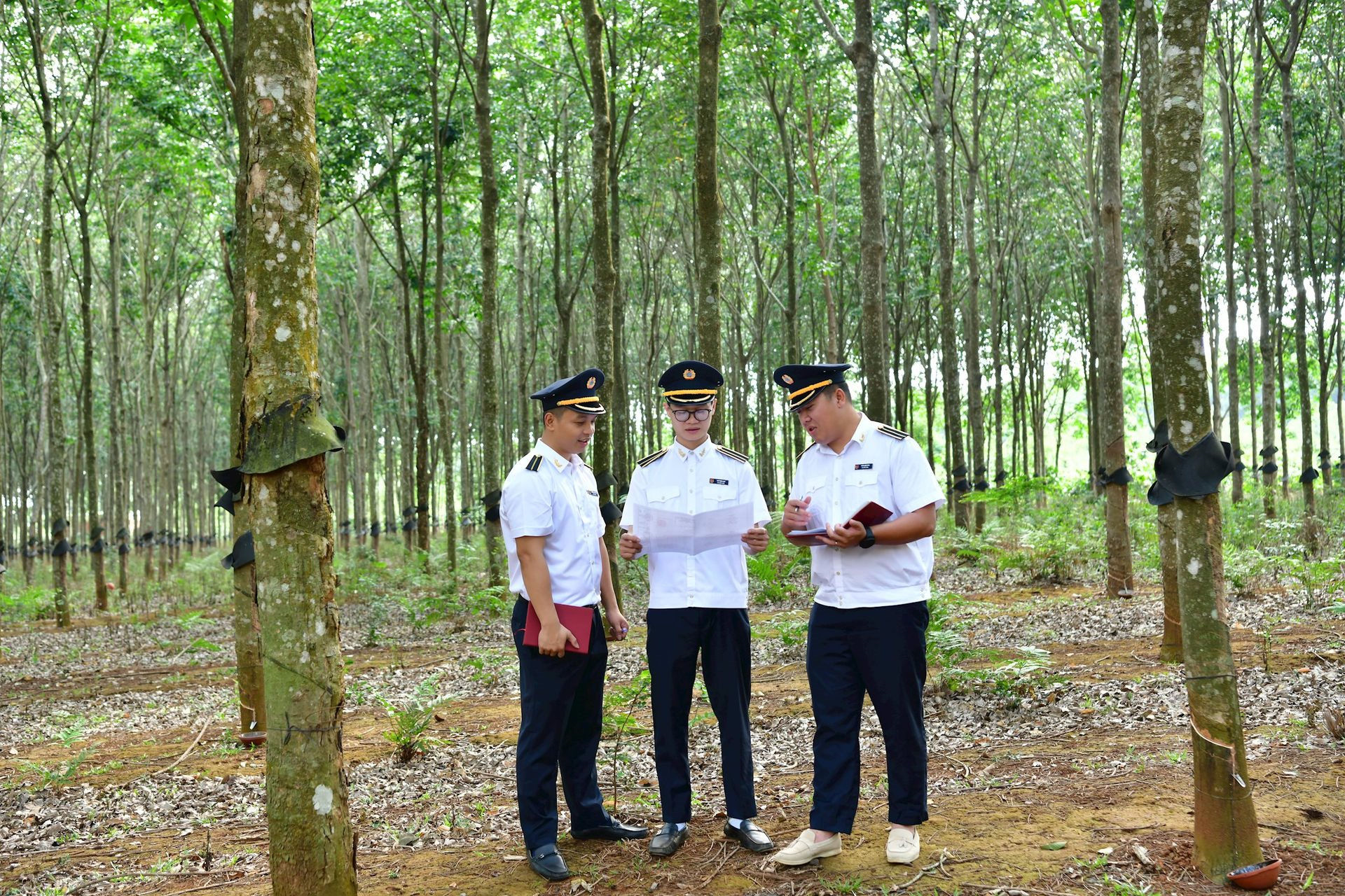 Quy định về bằng chứng kiểm toán trong hoạt động kiểm toán