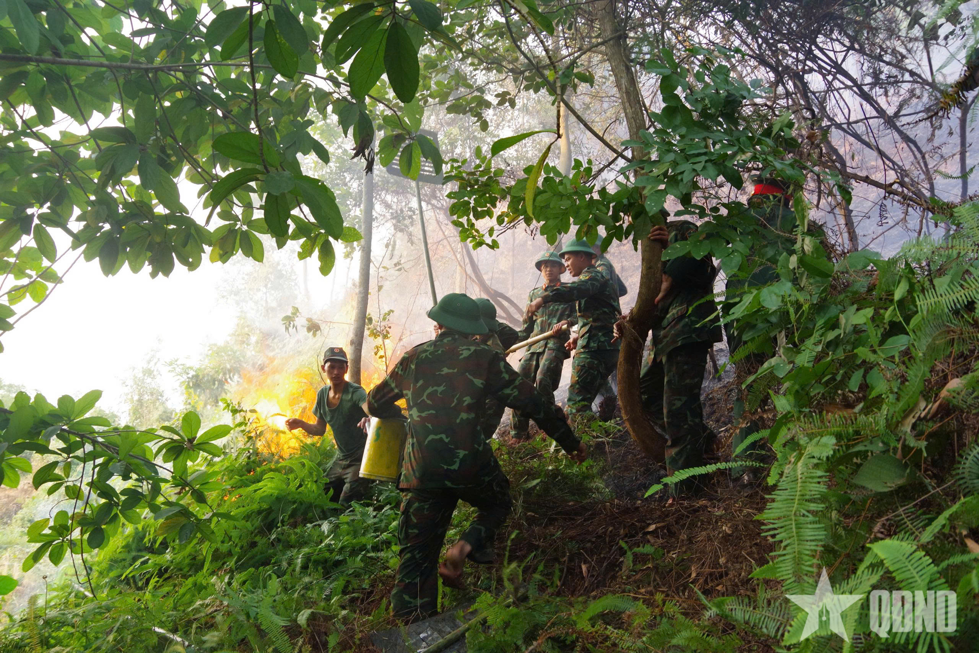 Thanh Hóa: Lữ đoàn 368 (Quân đoàn 12) kịp thời tham gia dập cháy rừng
