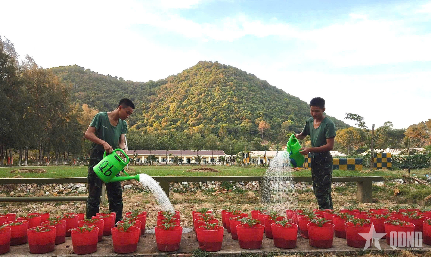 Bộ đội Trung đoàn 20 gieo những mầm xuân