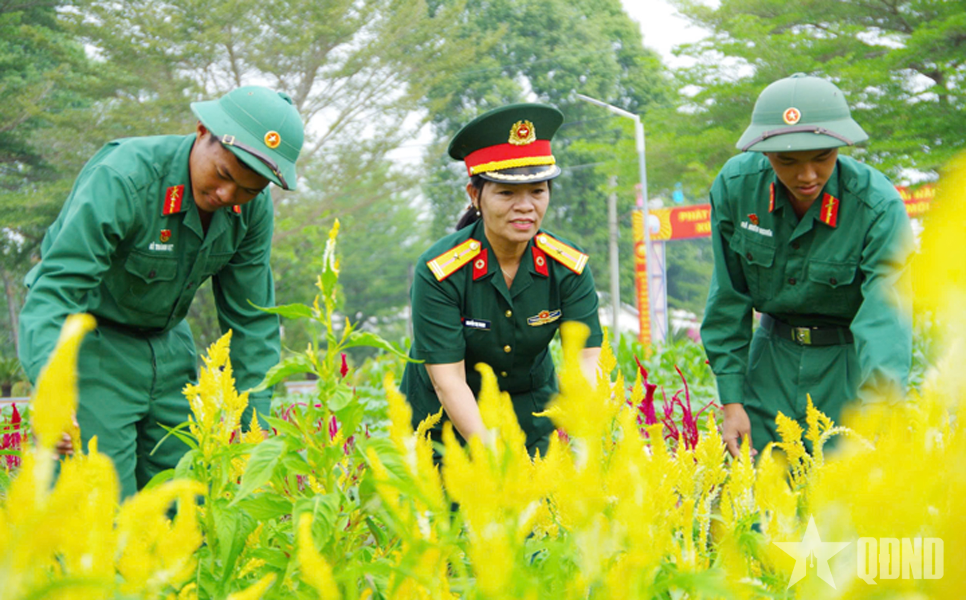 Sắc xuân từ những vườn hoa chiến sĩ Sư đoàn 5