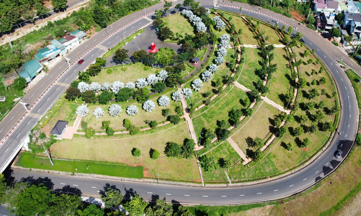 Công ty Cây xanh Công Minh gây thiệt hại gần 400 tỷ đồng