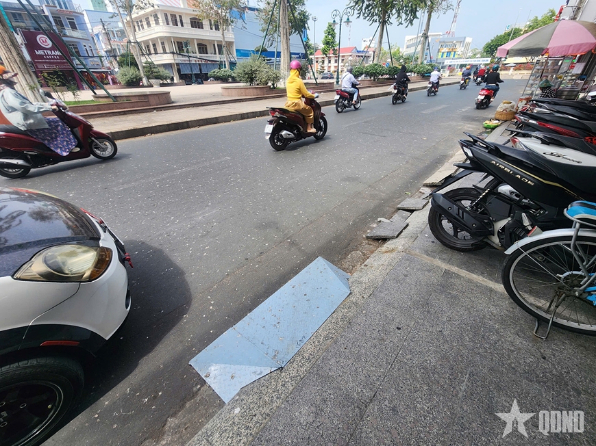 An Giang: Tái diễn tình trạng ô nhiễm môi trường do chim én tại Công viên Nguyễn Trung Trực