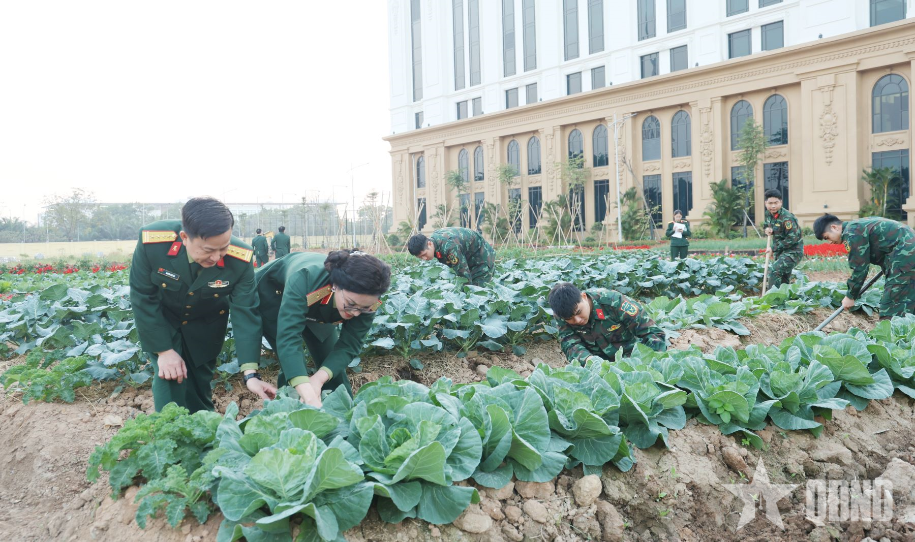 Cơ quan Tổng cục Công nghiệp quốc phòng xây dựng doanh trại chính quy, xanh, sạch, đẹp

