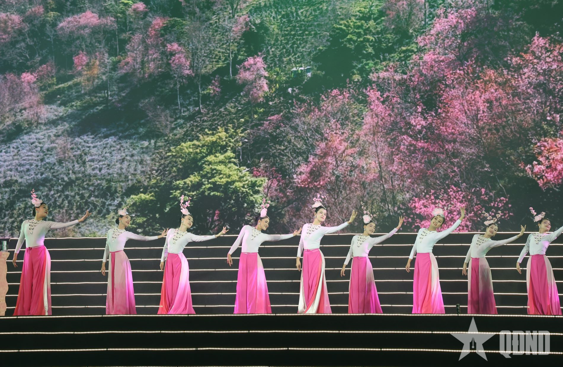 Rực rỡ hương sắc tại Lễ hội hoa mai anh đào – Đà Lạt Xuân 2026