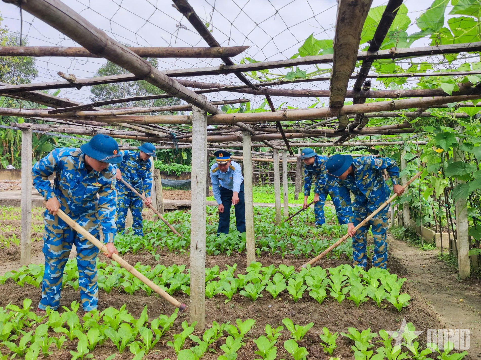Chủ động tăng gia, sản xuất ở “Một bảy chín”