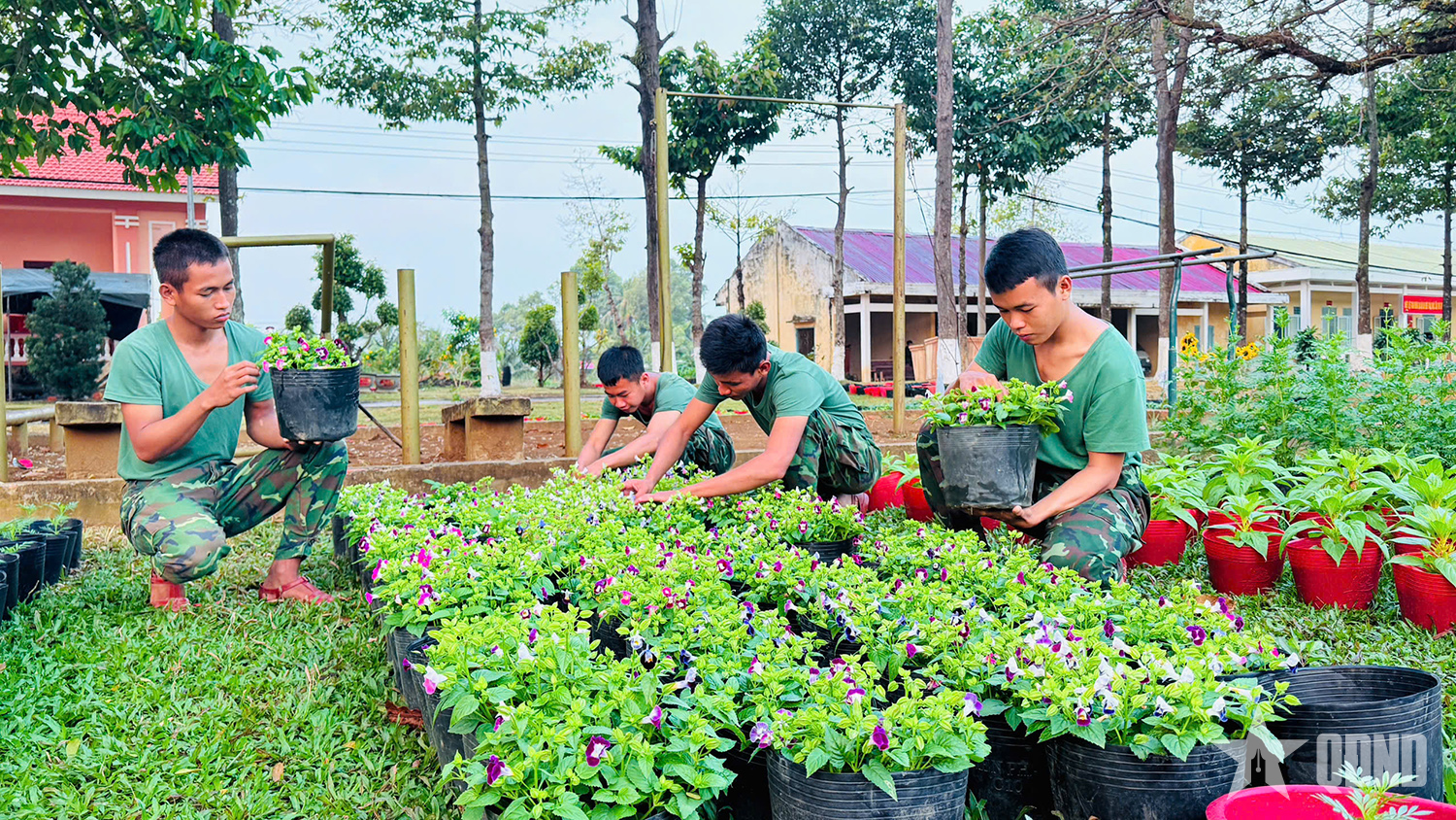 Vào Trung đoàn 20 mùa này, bạn thấy gì?