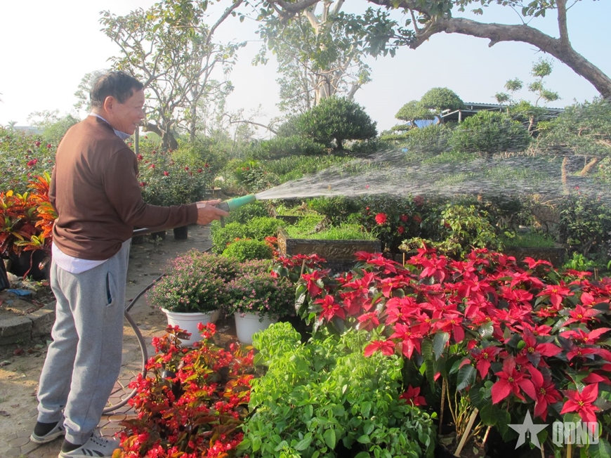 Làng hoa, cây cảnh lớn nhất Nghệ An: Mùa xuân từ những mầm xanh, nụ biếc