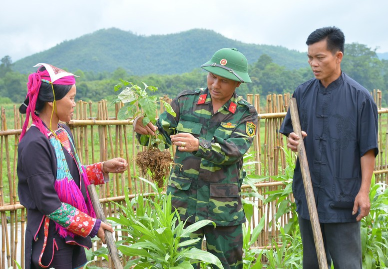 Triển khai Đề án giáo dục, tuyên truyền về Quân đội tham gia lao động sản xuất trên phạm vi cả nước