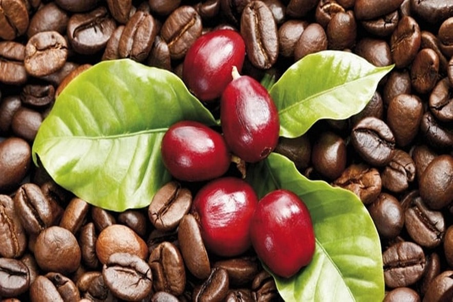 Bản tin nông sản hôm nay (20-1): Giá cà phê, hồ tiêu, lúa gạo cùng đi ngang