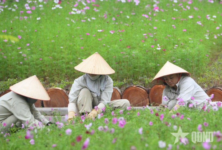 Không gian công viên xanh, sạch, đẹp