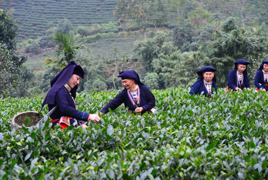 Ống kính bạn đọc: Du lịch trải nghiệm ở La Bằng