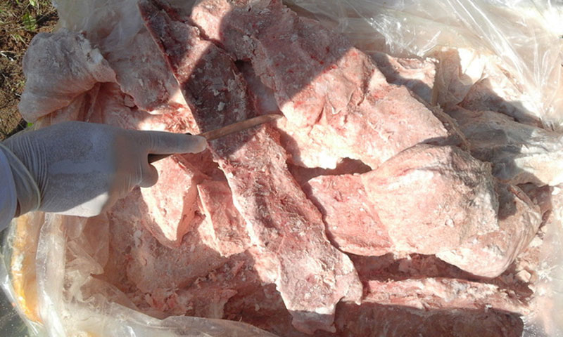 Phát hiện vụ vận chuyển 800kg nầm lợn đông lạnh nhập lậu