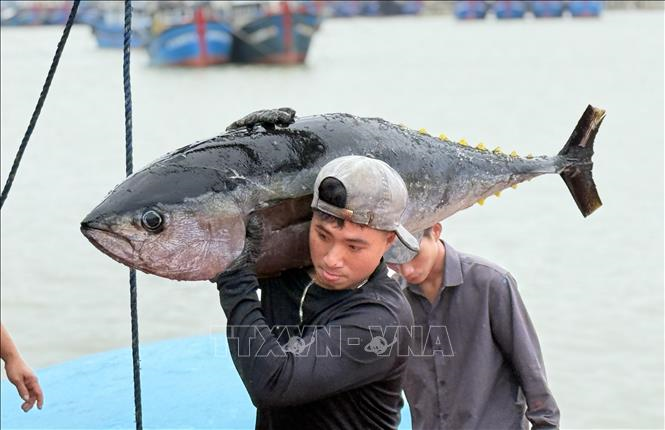 Chính phủ ban hành Nghị định quy định chi tiết thi hành Luật Thủy sản