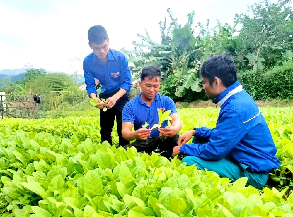 Làm giàu từ nông nghiệp, lan tỏa tinh thần cống hiến