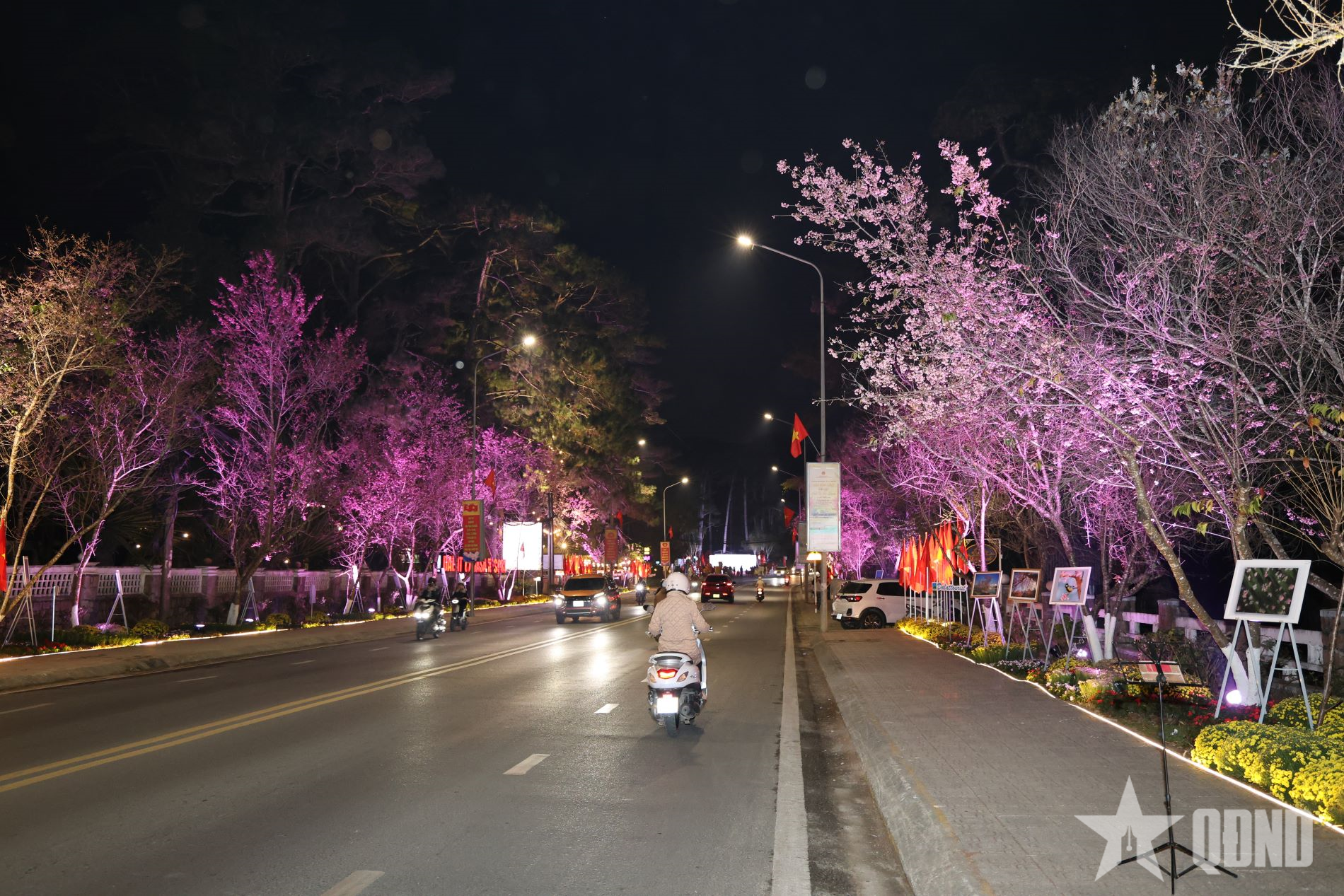 Rực rỡ đường hoa ánh sáng và nghệ thuật tại Đà Lạt