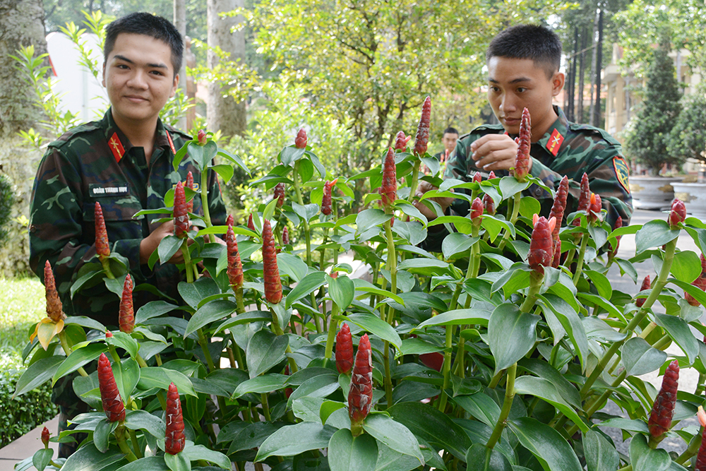 Để chiến sĩ thêm chắc tay súng