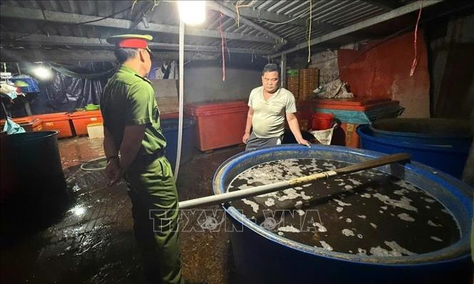 Khởi tố chủ cơ sở ngâm hàng nghìn tấn ốc bươu với hóa chất 