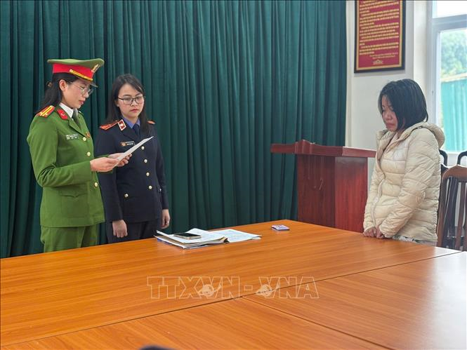 Khởi tố, bắt tạm giam nữ giúp việc bạo hành cụ bà 82 tuổi

