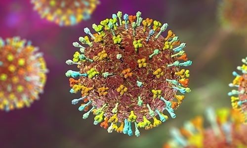 Bộ Y tế yêu cầu bảo đảm an toàn thực phẩm trong phòng, chống bệnh do virus Nipah