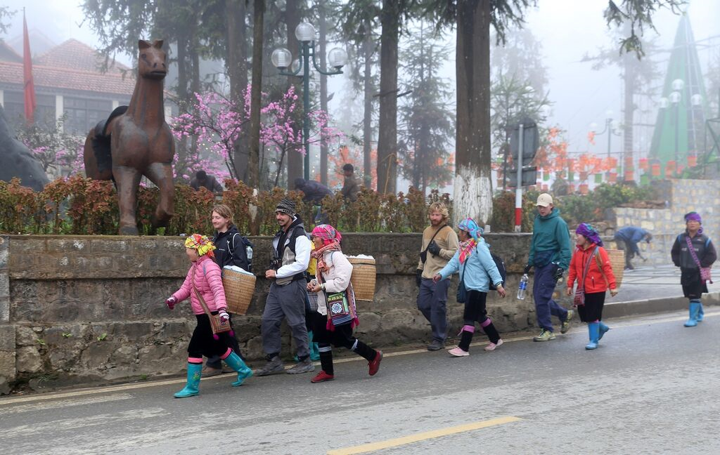 Thời tiết hôm nay (31-1): Không khí lạnh gây rét đậm tại vùng núi