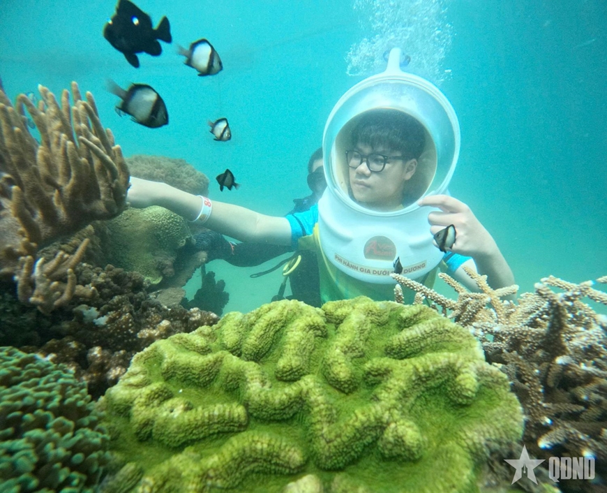 Vịnh Vĩnh Hy - Bản giao hưởng xanh giữa lòng đại dương