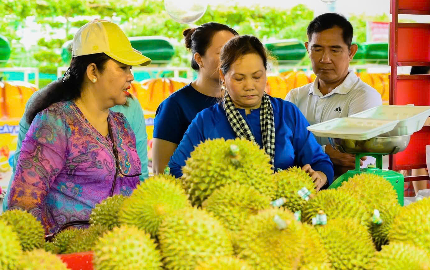 Đa dạng kênh bán hàng, chú trọng chất lượng, bình ổn giá