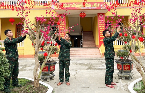 Sẽ nghiên cứu thí điểm trong phạm vi hẹp trước