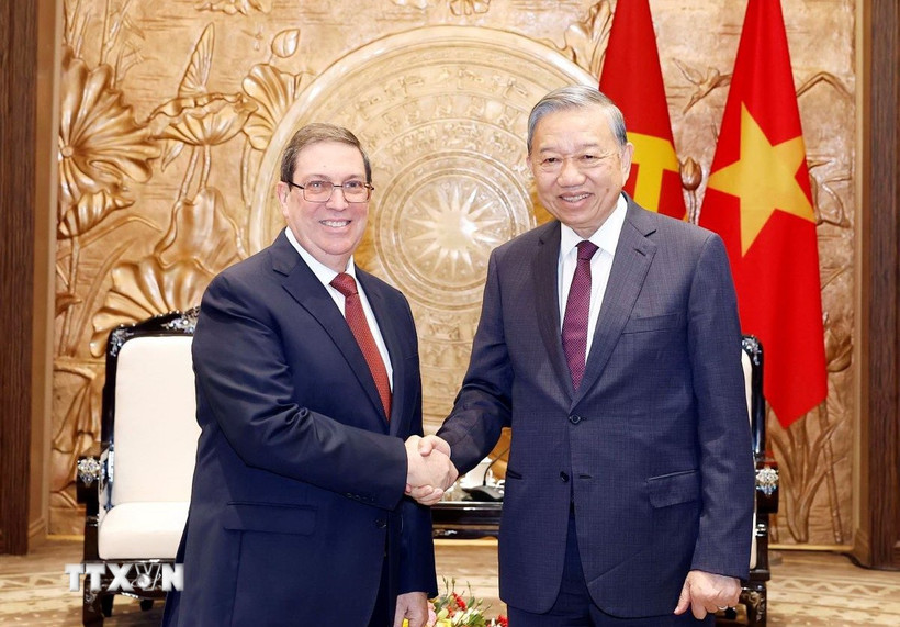 Tổng Bí thư Tô Lâm tiếp Đặc phái viên Đảng, Nhà nước Cuba, Bộ trưởng Ngoại giao Cuba