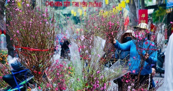 Tết Bính Ngọ: Bắc Bộ, Trung Bộ nhiều khả năng sẽ ấm, Nam Bộ nắng