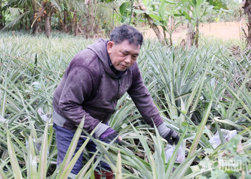 “Chất thép” nở hoa giữa đại ngàn Suối Hiệp

