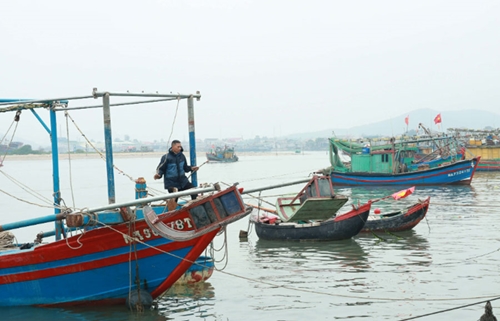 Ngư dân Tân Mai ấm lòng đón Tết